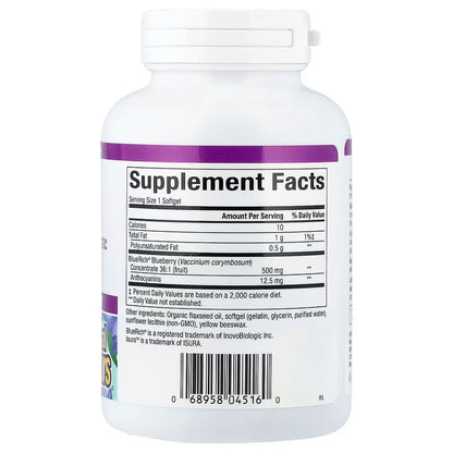 Natural Factors BlueRich 超強藍莓濃縮精華 500mg 90粒 | 強效抗氧化 護眼明目 血管健康